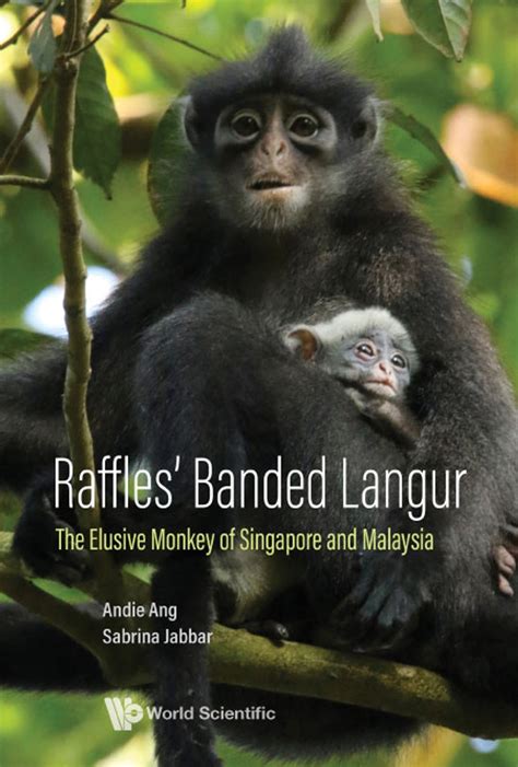 raffles banded langur book